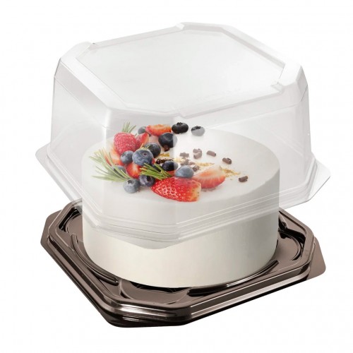 Упаковка для квадратных тортов УТ-200/120