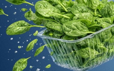 Упаковка для свежих продуктов